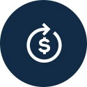 optimizare financiara
